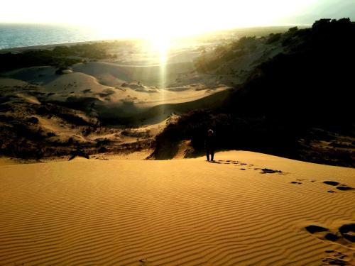 a person standing on top of a sandy beach at Rose Hotel B&B in Patara