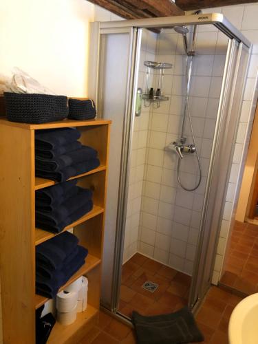 y baño con ducha y toallas azules. en Wildbachidylle en Lichtenberg