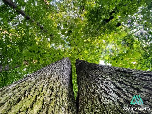 Naturlandschaft in der Nähe der Ferienwohnung