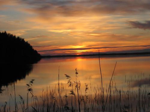 a sunset over a body of water with tall grass at Saimaa Raikala in Vuoriniemi