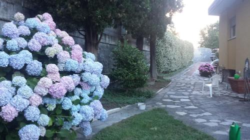 Casa Carlotta – Photos 5