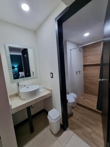 a bathroom with a sink and a toilet and a mirror at EMS Hoteles Centro Histórico in Veracruz
