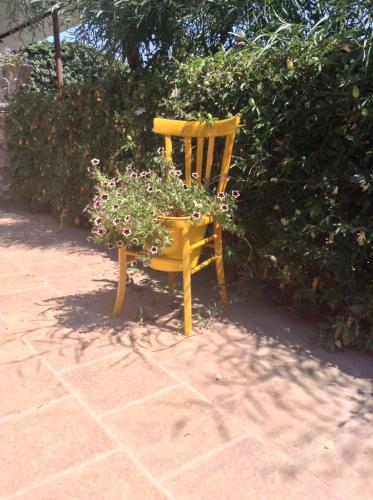 a yellow chair with a potted plant on it at Antico Frantoio in Cerchiara di Calabria