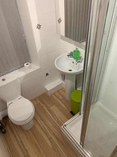 Ванна кімната в Lovely 2-bedroom apartment in Scottish Borders