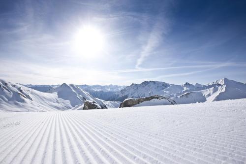 Hotel des Alpes en invierno