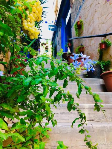 Ein Garten an der Unterkunft Zaman Ya Zaman Boutique Hotel
