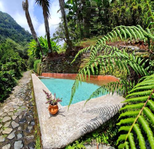 Hospedaje Pance Arí Munani Reserva Naturalの敷地内または近くにあるプール