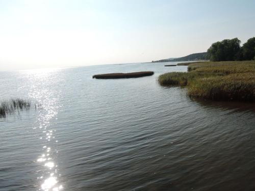 a large body of water with trees and grass at Holiday Home in Sulomino with Private Beach in Sułomino