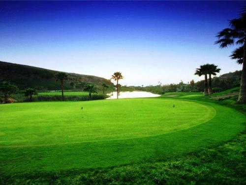 a golf course with palm trees and a green field at Real del Mar Golf Resort in Tijuana