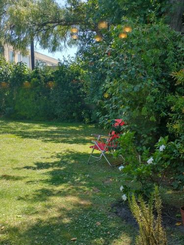 a red chair sitting in a yard next to a tree at Cabaña Monoambiente de Descanso y Relax en Zona Barrio La Florida Pet Friendly in Mar del Plata