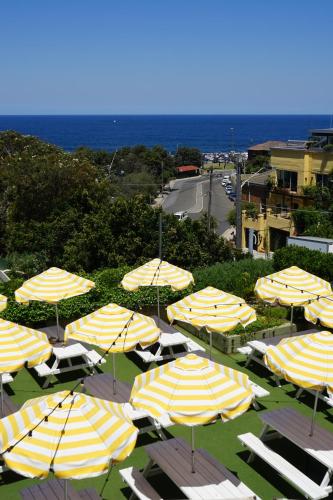a bunch of yellow and white umbrellas on a lawn at The Clovelly Hotel in Sydney