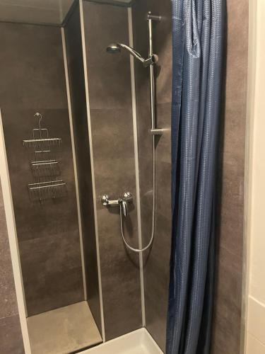 La salle de bains est pourvue d'une douche avec une porte en verre. dans l'établissement Les chambres et studios Camping Parc de Paletès, à Saint-Girons
