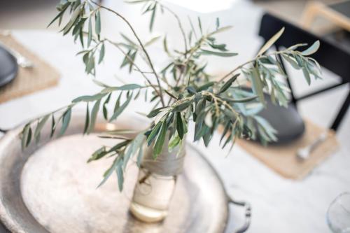 a plant in a glass vase on a table at Villa Kora in Kallithea Rhodes