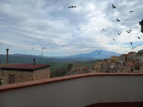 a flock of birds flying in the sky over a city at Antica Sicilia Luxury in Regalbuto