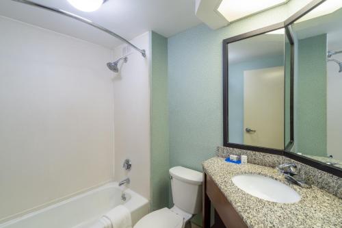 a bathroom with a sink and a toilet and a mirror at Holiday Inn Express Forsyth, an IHG Hotel in Forsyth