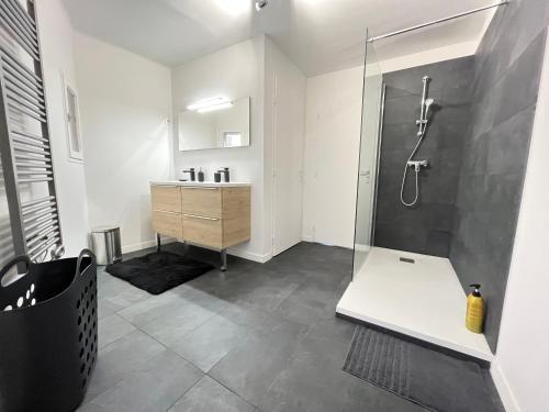 une salle de bain avec douche et lavabo dans l'établissement L'Aristide, à Aix-en-Provence