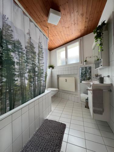 bagno con servizi igienici, lavandino e specchio di Ferienwohnung Dorfzentrum a Disentis