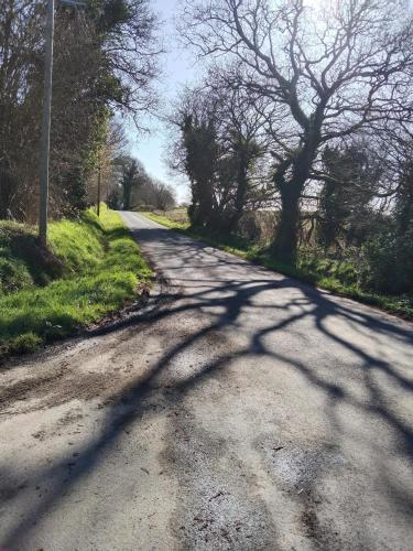 a shadow of a tree on a road at Craftycotta in Glomel