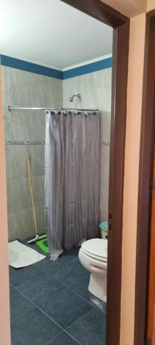 a bathroom with a shower curtain and a toilet at Susy Rental Depto N 3 in Malargüe