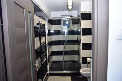 a bathroom with a shower and a toilet at Dabe Hd in Hunedoara