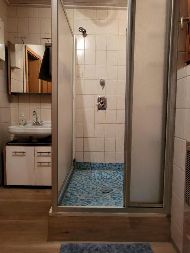 a bathroom with a shower and a sink at Kleines Ferienhaus mit Charme in Meschede