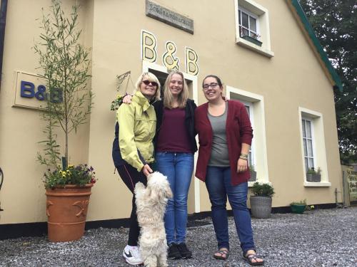 Gallery image of The Old School House B&B in Ballinskelligs