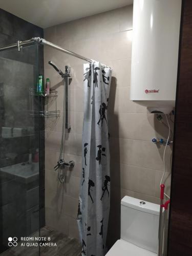 a bathroom with a shower with a toilet and a sink at ONLY for YOU in Tsaghkadzor