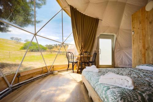 een kamer met een bed in een tent met een raam bij Hillview Farmstay in Gundagai