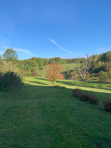 a field of green grass with trees in the background at Forsthaus in Waldhessen in Bauhaus