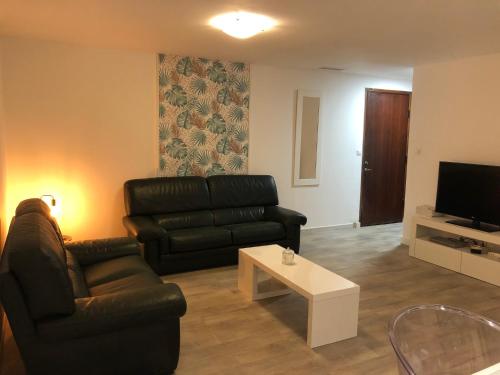 - un salon avec un canapé en cuir noir et une télévision dans l'établissement Maison au calme avec parking en petite Camargue, à Beauvoisin