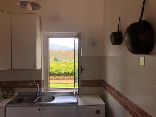 a kitchen with a sink and a window with a view at Tenute Pacelli - Azienda Agricola in Malvito
