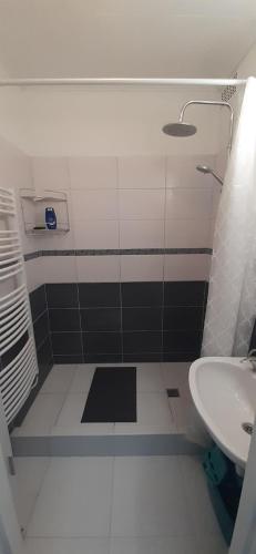 y baño pequeño con lavabo y ducha. en Panel Hause Kazincbarcika, en Kazincbarcika