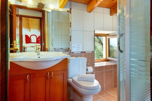 a bathroom with a toilet and a sink and a mirror at Villa Elia, ,Platanos, Paxos in Koútsion