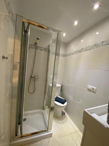 a bathroom with a shower and a toilet at Miramar in Puerto del Carmen