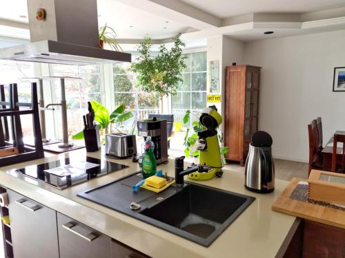 a kitchen with a sink and a counter top at Große & voll ausgestattete Apartments, Studios, Doppelzimmer, Workspace, Parkplatz, Netflix, Prime & schnelles Wifi in ruhiger Lage mit Garten in Rudolstadt