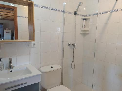 een badkamer met een douche, een toilet en een wastafel bij Casa Torás in Vilagarcia de Arousa