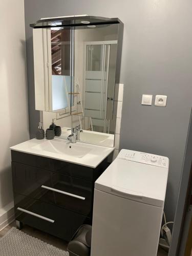 ein Badezimmer mit einem Waschbecken, einem Spiegel und einem Geschirrspüler in der Unterkunft Les Hortensias de Marie in Laviéville