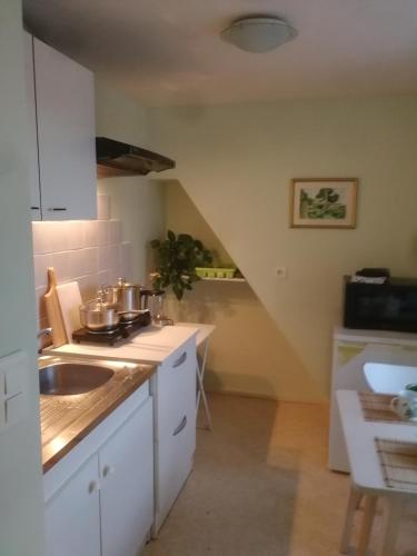 une cuisine avec un évier et un plan de travail dans l'établissement Arbois, joli petit appartement plein centre, à Arbois