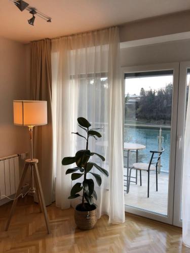 a living room with a plant and a sliding glass door at Maximo Apartments - free parking in Maribor
