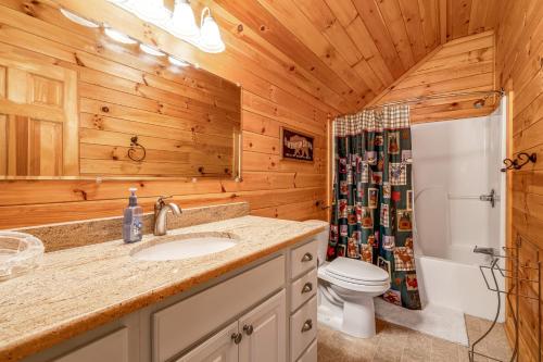 a bathroom with a sink and a toilet at Boone Bounty in Boone