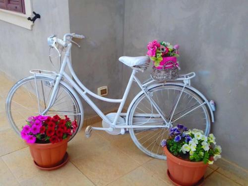a white bike parked next to two pots of flowers at Il Rifugio della Quiete in Scicli
