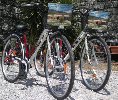 two bikes are parked next to each other at Agriturismo La Collina Verde in Levanto
