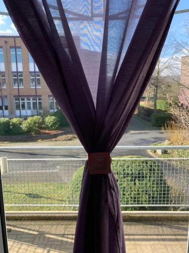 una cortina púrpura en una ventana con un edificio en 1 Room, near to UN und Telekom en Bonn