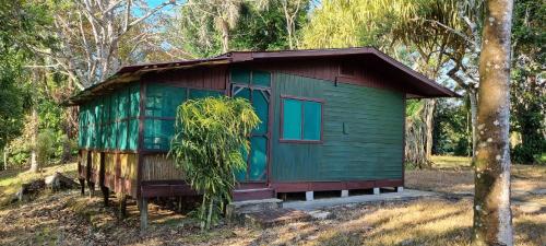 a green cabin in the middle of a forest at Hotel Veragua River House in Sierpe