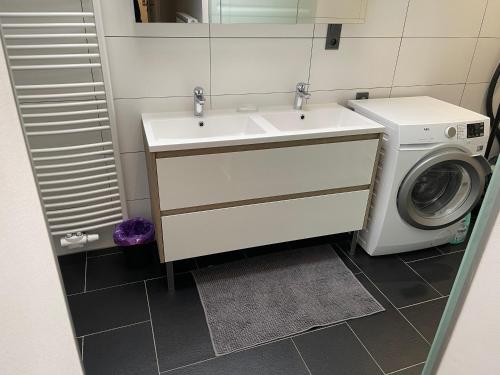 y baño con lavabo y lavadora. en Superbe appartement au RDC avec parking gratuit, en Villerupt