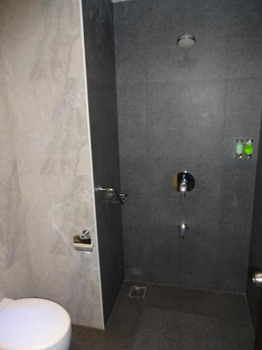 a bathroom with a toilet and a shower stall at Astoria Hotels Madurai in Madurai