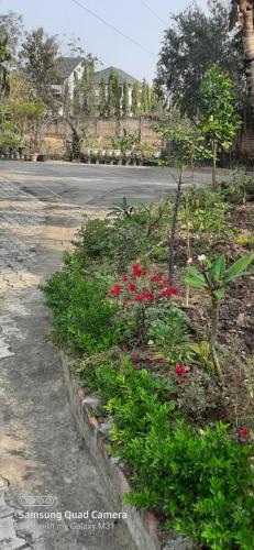 un jardín con flores rojas al lado de una calle en JUNGJUNG HOMESTAY, en Dimāpur