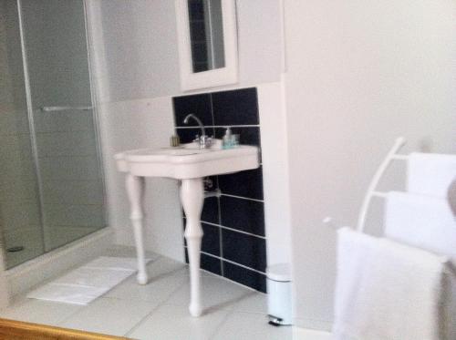 a bathroom with a white sink and a shower at La Demeure de Laclais in Le Mans
