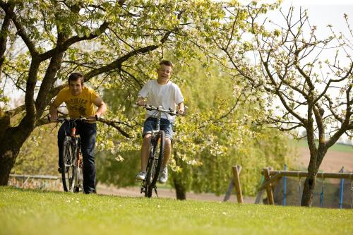 two men riding bikes in a grassy field at Pension Gabriele in Unterlamm