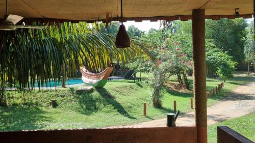 a hammock in a garden with a palm tree at Yala Peace Cottages in Tissamaharama